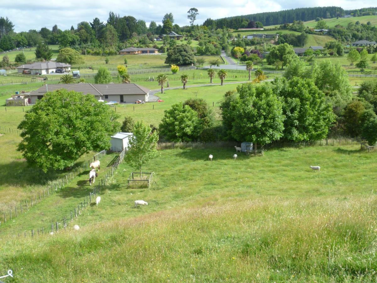 Bellarosa B&B Rotorua Kültér fotó